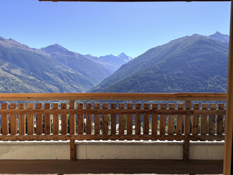 Superbe appartement ski in/out dans résidence hôtelière (6)