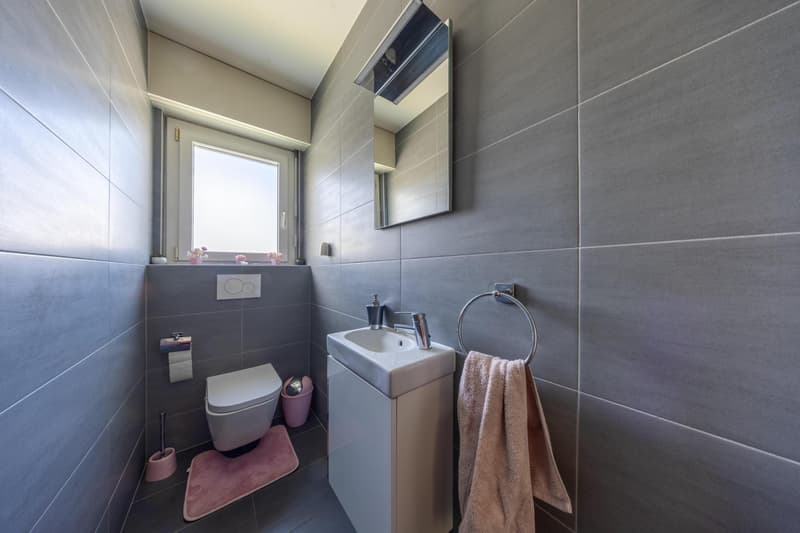 Grand appartement de 4.5 pièces avec balcon (8)