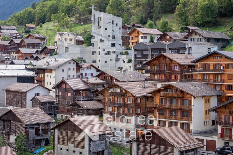 Authentique appartement au coeur du village (5)