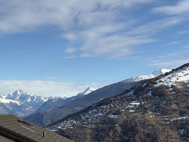 Appartement d'exception dans un chalet ? Résidence principale (3)
