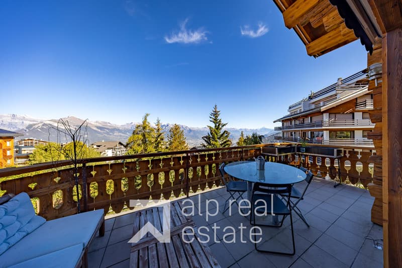 Appartement cosy au pied des pistes de ski (1)