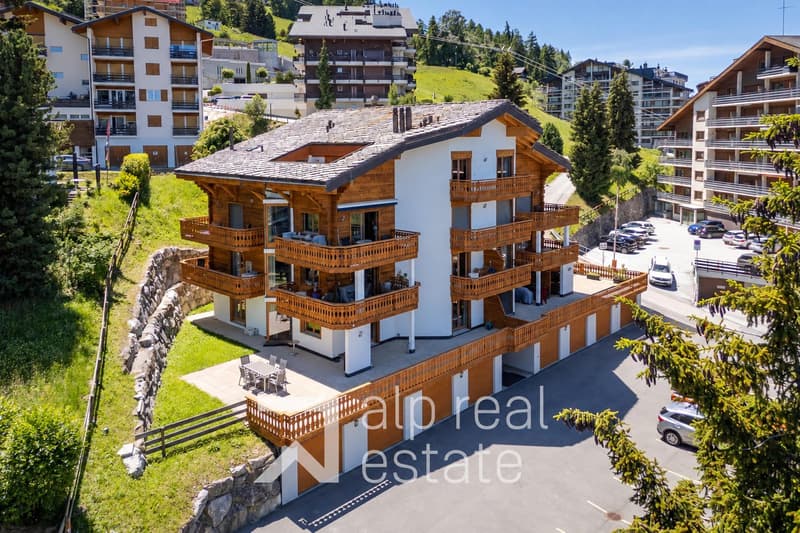 Appartement cosy au pied des pistes de ski (2)