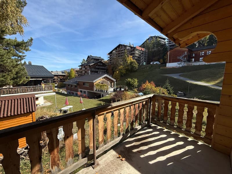 Chalet au charme bucolique à louer à la saison - à deux pas du centre (5)