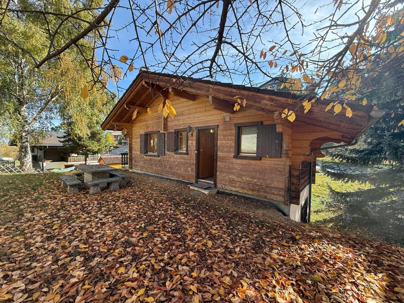 Chalet au charme bucolique à louer à la saison - à deux pas du centre (1)