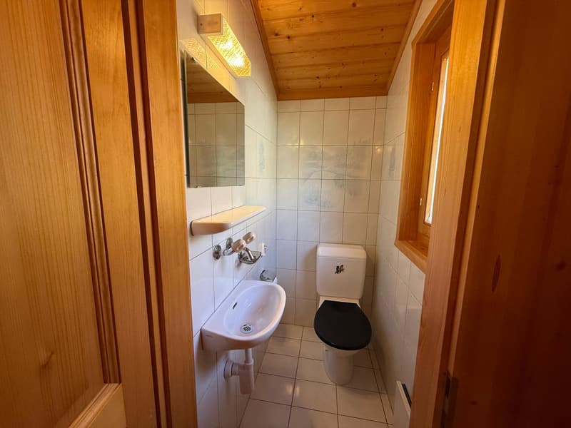 Chalet au charme bucolique à louer à la saison - à deux pas du centre (11)