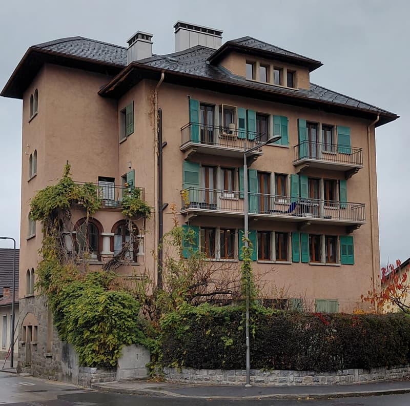 SION/BRAMOIS Duplex Apartment (1)