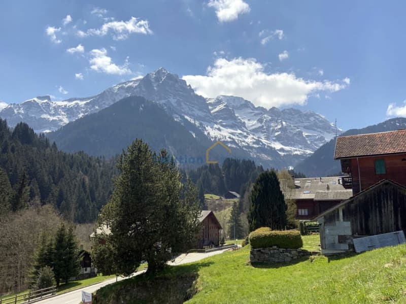 Grande chalet di 8 pezzi, molto soleggiato (2)