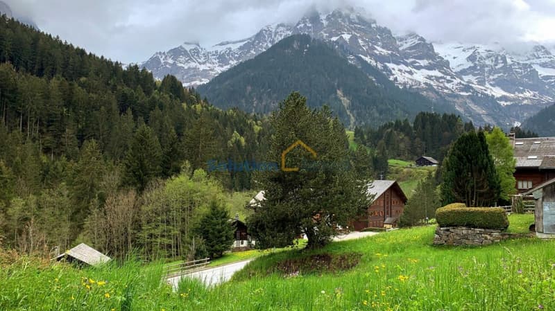 Grande chalet di 8 pezzi, molto soleggiato (5)
