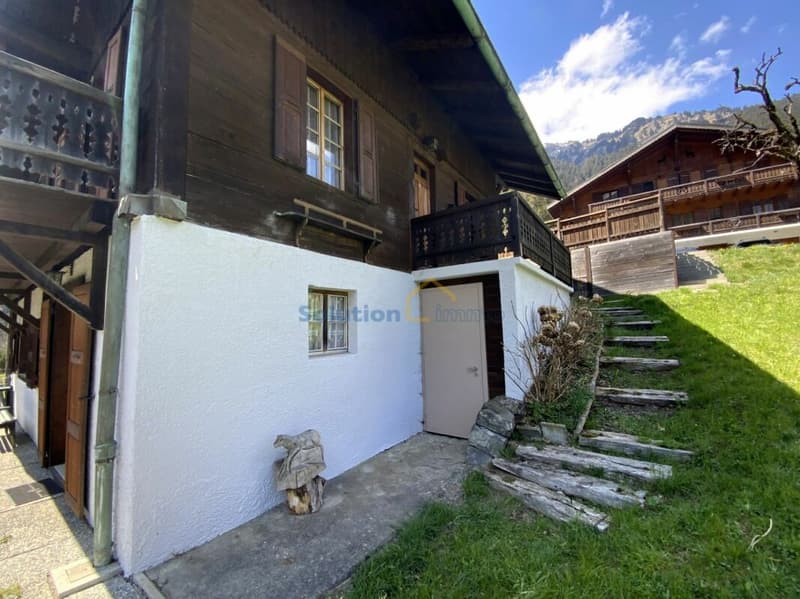 Grande chalet di 8 pezzi, molto soleggiato (14)