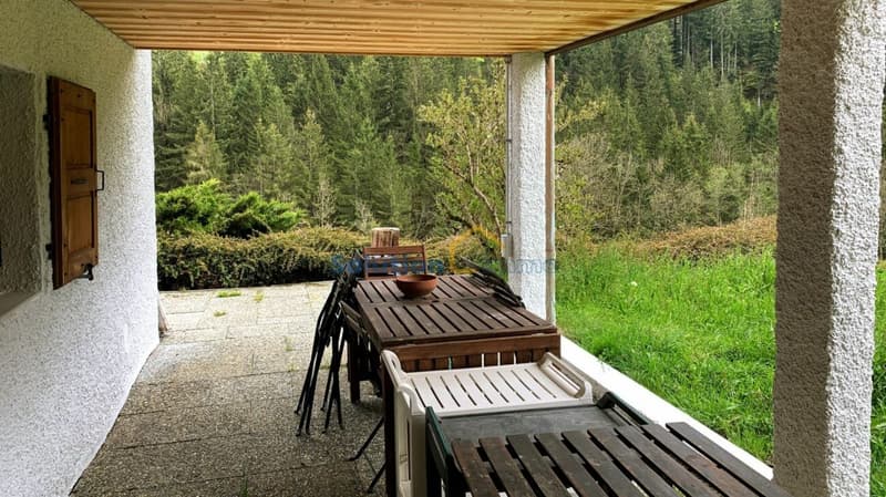 Grande chalet di 8 pezzi, molto soleggiato (12)