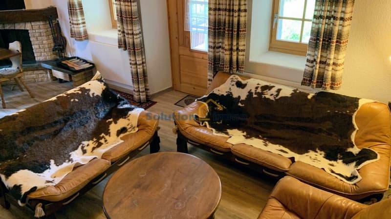 Grande chalet di 8 pezzi, molto soleggiato (7)