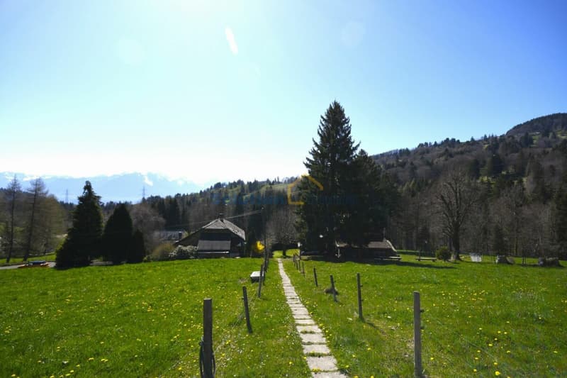 Molto grande chalet, ideale per una ristrutturazione (9)