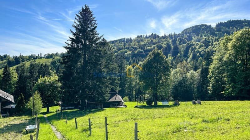 Molto grande chalet, ideale per una ristrutturazione (8)