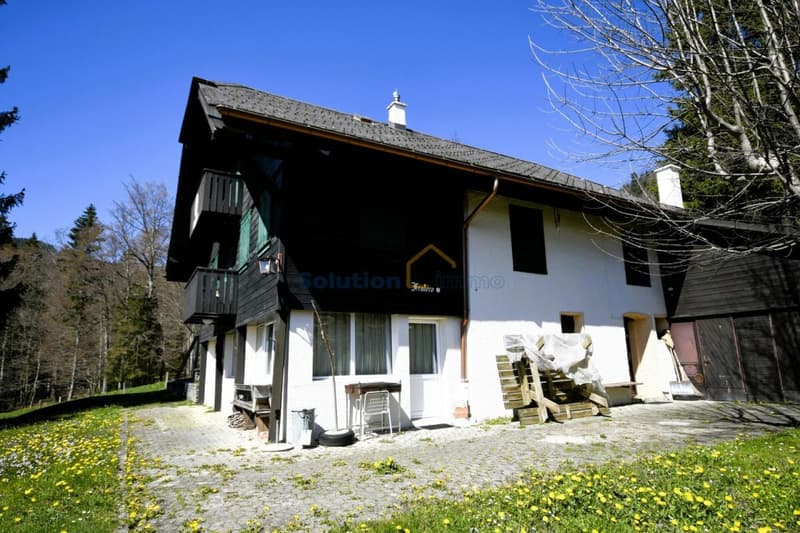 Molto grande chalet, ideale per una ristrutturazione (2)