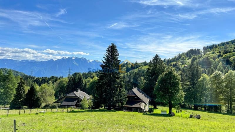 Molto grande chalet, ideale per una ristrutturazione (5)