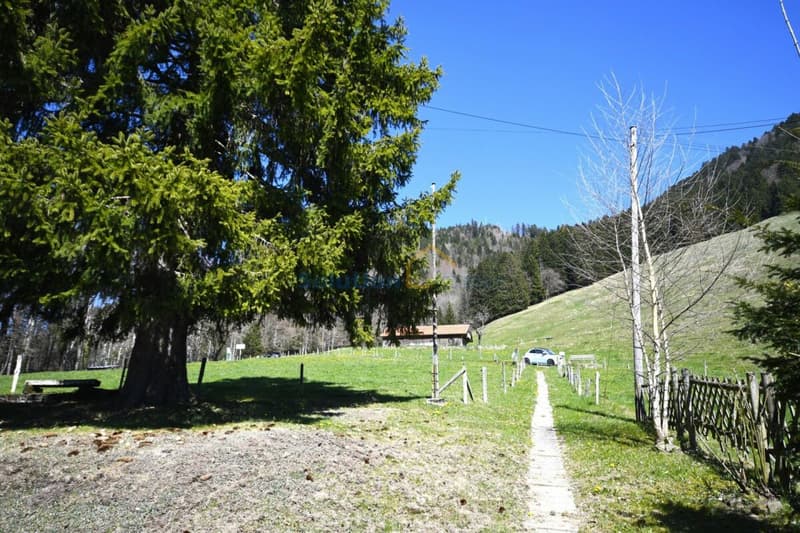 Molto grande chalet, ideale per una ristrutturazione (4)