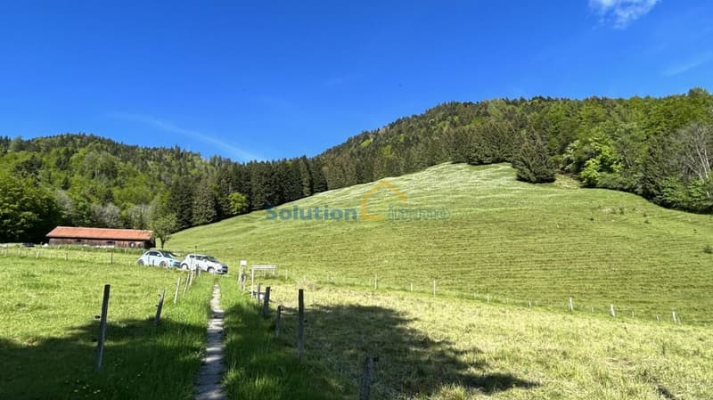 Molto grande chalet, ideale per una ristrutturazione (7)