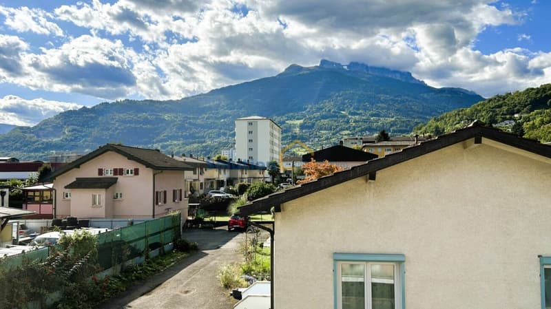 Villa di 2 grandi appartamenti, vicino al centro (6)