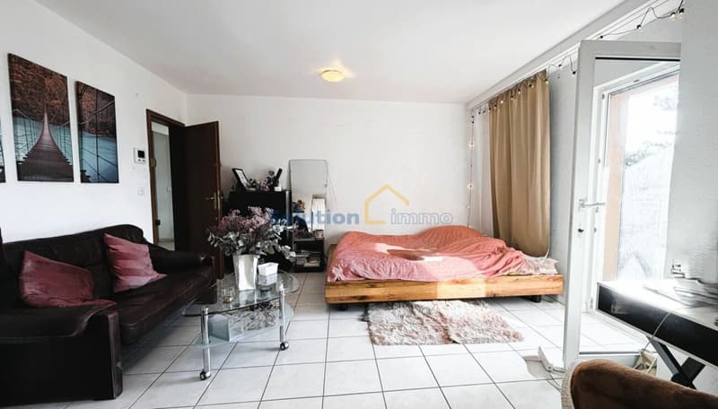 Appartamento 1,5 locali (5)
