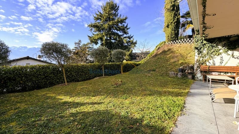 Appartamento 1,5 locali (3)