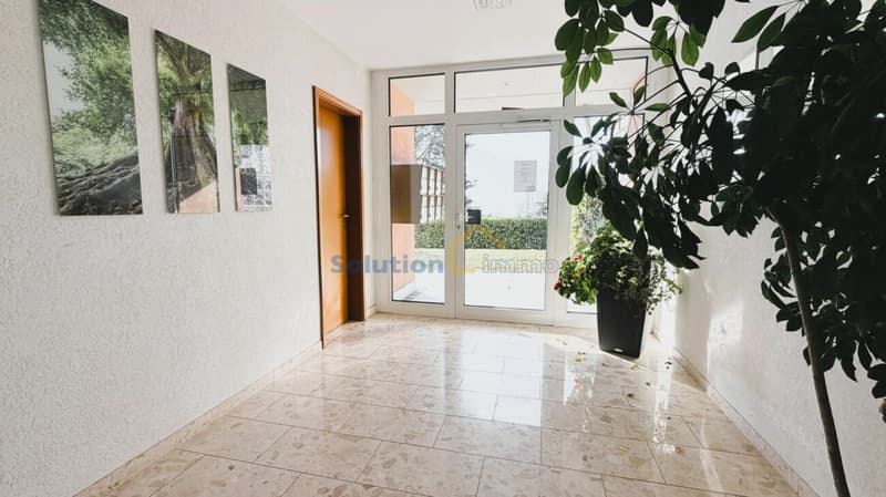 Appartamento 1,5 locali (10)