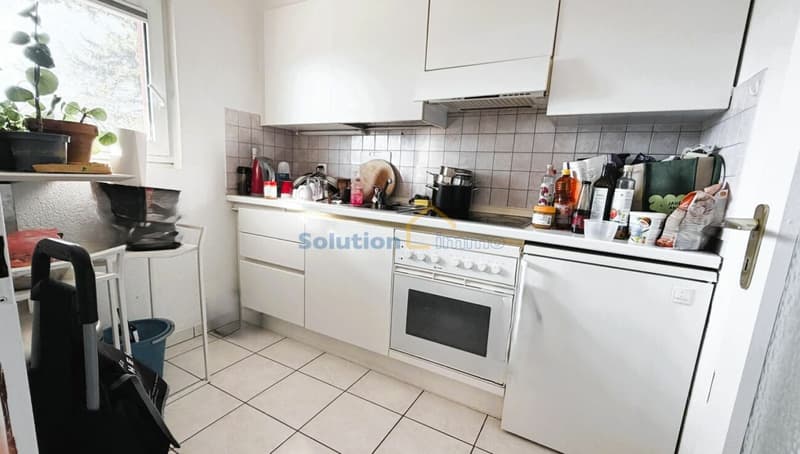 Appartamento 1,5 locali (7)