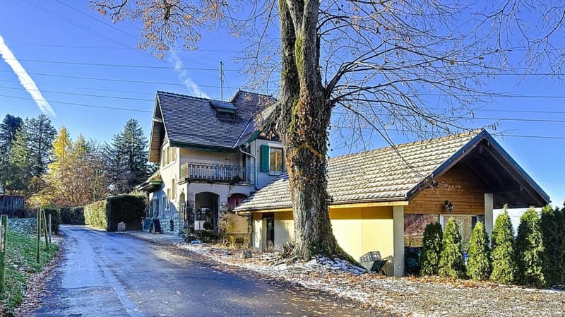 Grande casa con 2 appartamenti (2)