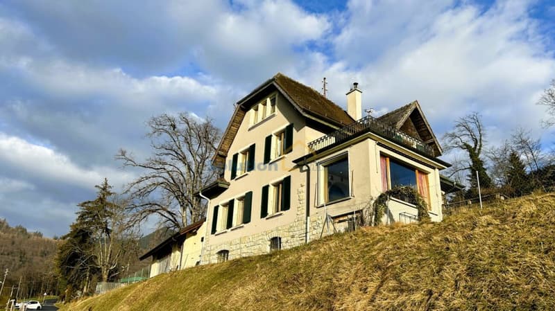 Grande casa con 2 appartamenti (3)