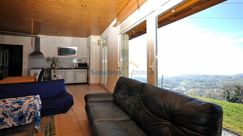 Grande casa con 2 appartamenti (13)