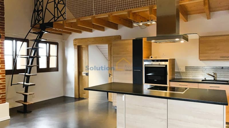 Beautifully renovated farm with 2 apartments (9)