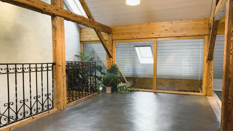 Beautifully renovated farm with 2 apartments (10)
