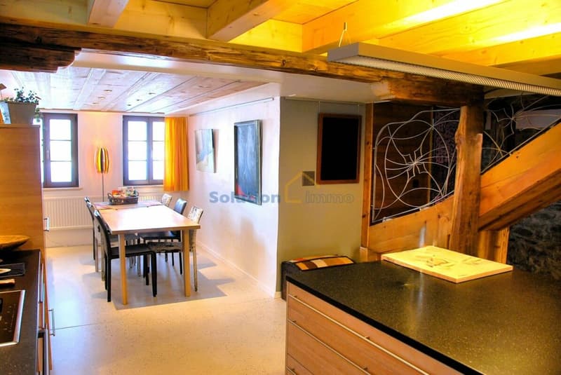 Beautifully renovated farm with 2 apartments (5)