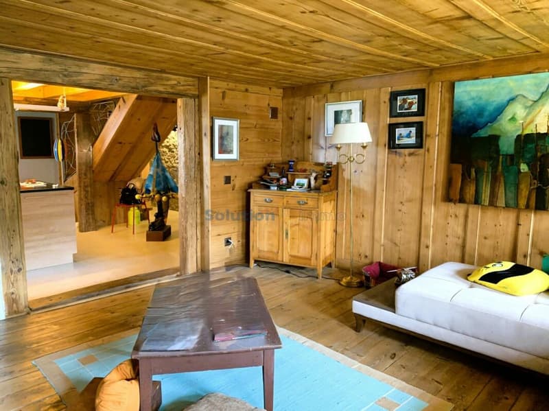 Beautifully renovated farm with 2 apartments (7)