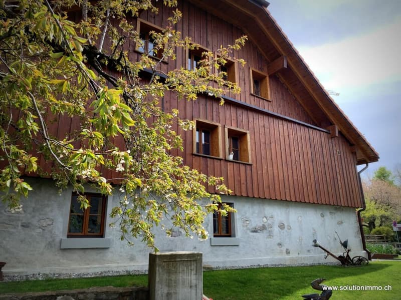 Beautifully renovated farm with 2 apartments (3)