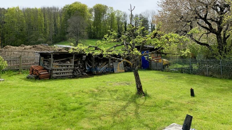Beautifully renovated farm with 2 apartments (12)