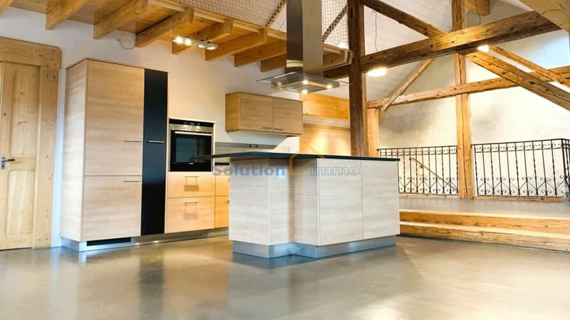Beautifully renovated farm with 2 apartments (8)