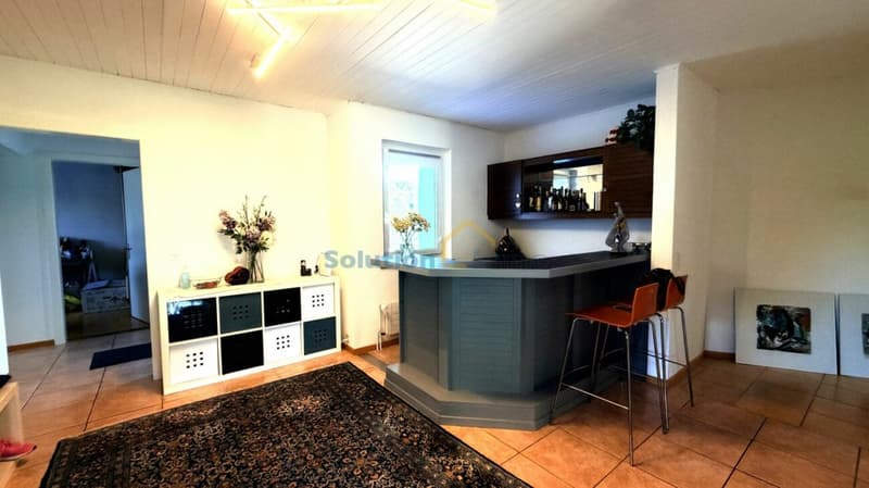 Charmant immeuble de 3 appartements avec superbe jardin (8)
