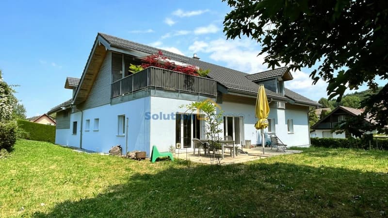 Charming building with 3 apartments and beautiful garden (1)