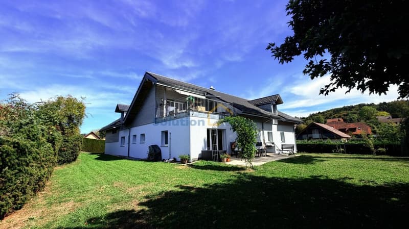 Charmant immeuble de 3 appartements avec superbe jardin (1)