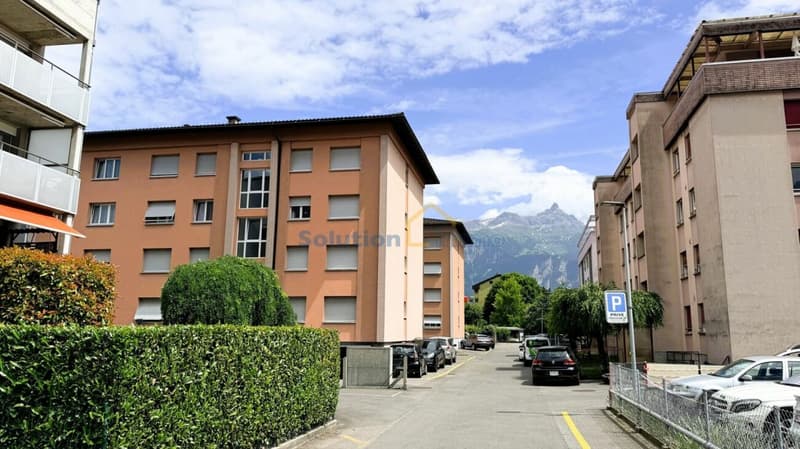 Bello appartamento arredato di 3,5 locali (11)