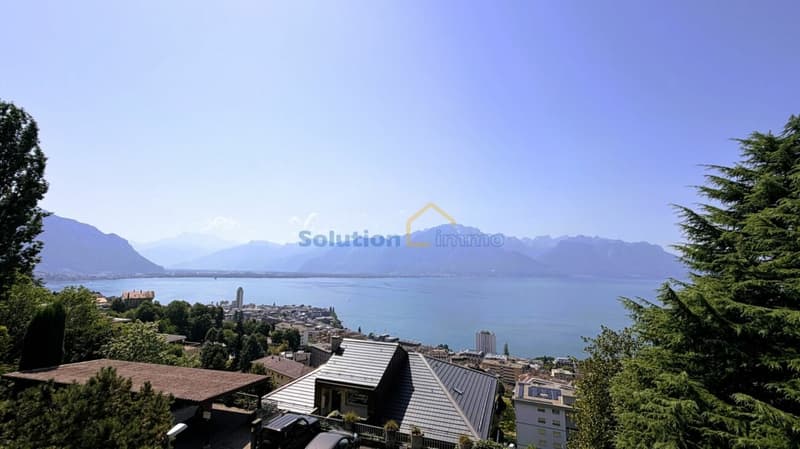 Magnifique vue depuis appartement de 3,5 pièces (1)