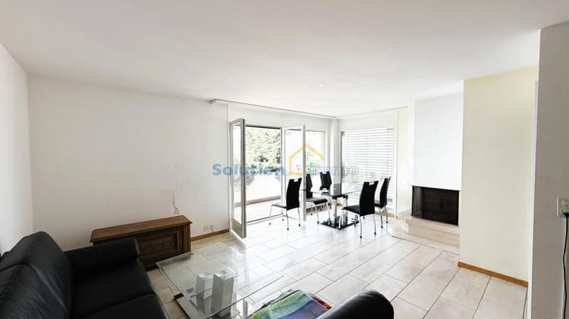 Magnifique vue depuis appartement de 3,5 pièces (4)