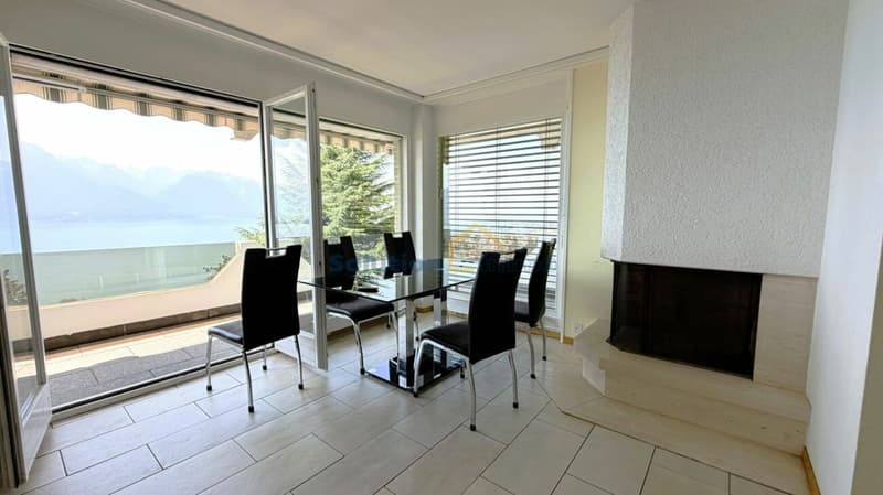 Magnifique vue depuis appartement de 3,5 pièces (5)