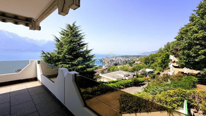 Magnifique vue depuis appartement de 3,5 pièces (3)