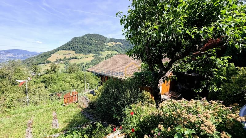 Très joli chalet de 5,5 pièces (4)