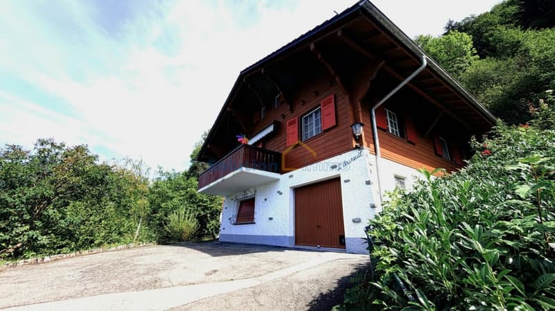 Très joli chalet de 5,5 pièces (1)
