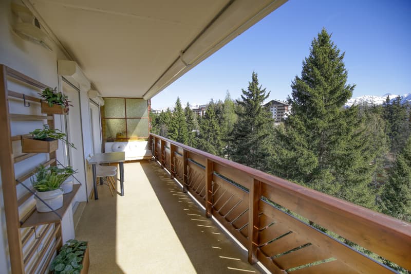2,5 pièces de standing avec cheminée - 62 m² rénové et grand balcon! (11)