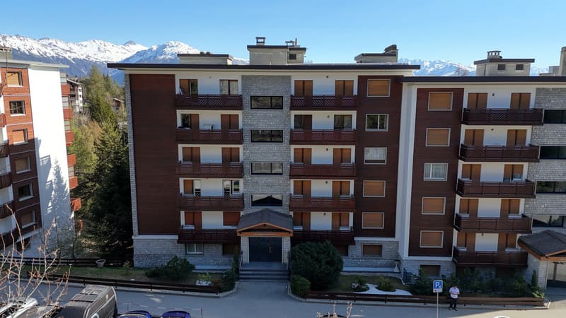 2,5 pièces de standing avec cheminée - 62 m² rénové et grand balcon! (13)