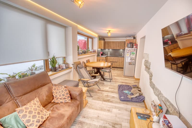 Appartement 4.5 p en PPE - Excellent potentiel locatif A1 (1)