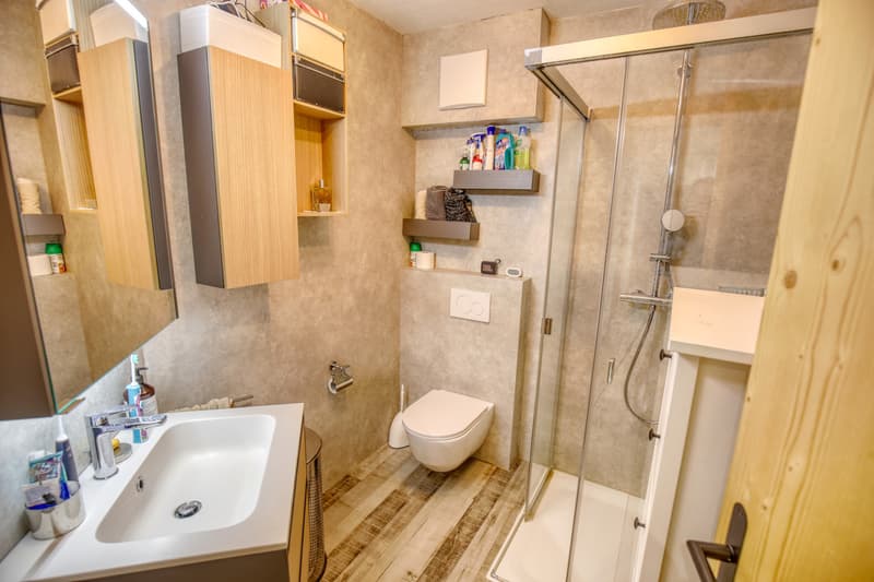 Appartement 4.5 p en PPE - Excellent potentiel locatif A1 (5)